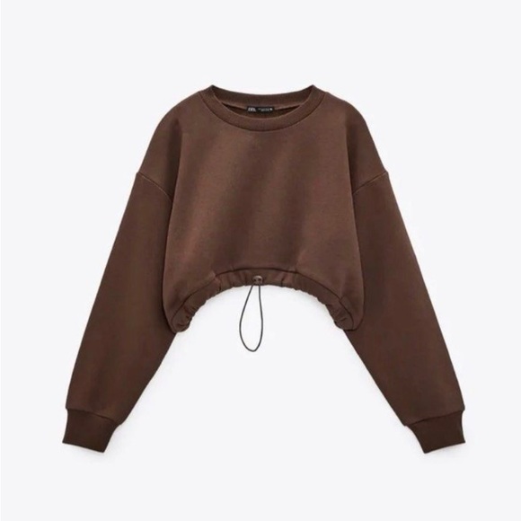 🤎ZARA Women Sweater Medium Brown Cotton Blend Long Sleeve Cropped Pullover🤎 - Picture 1 of 8